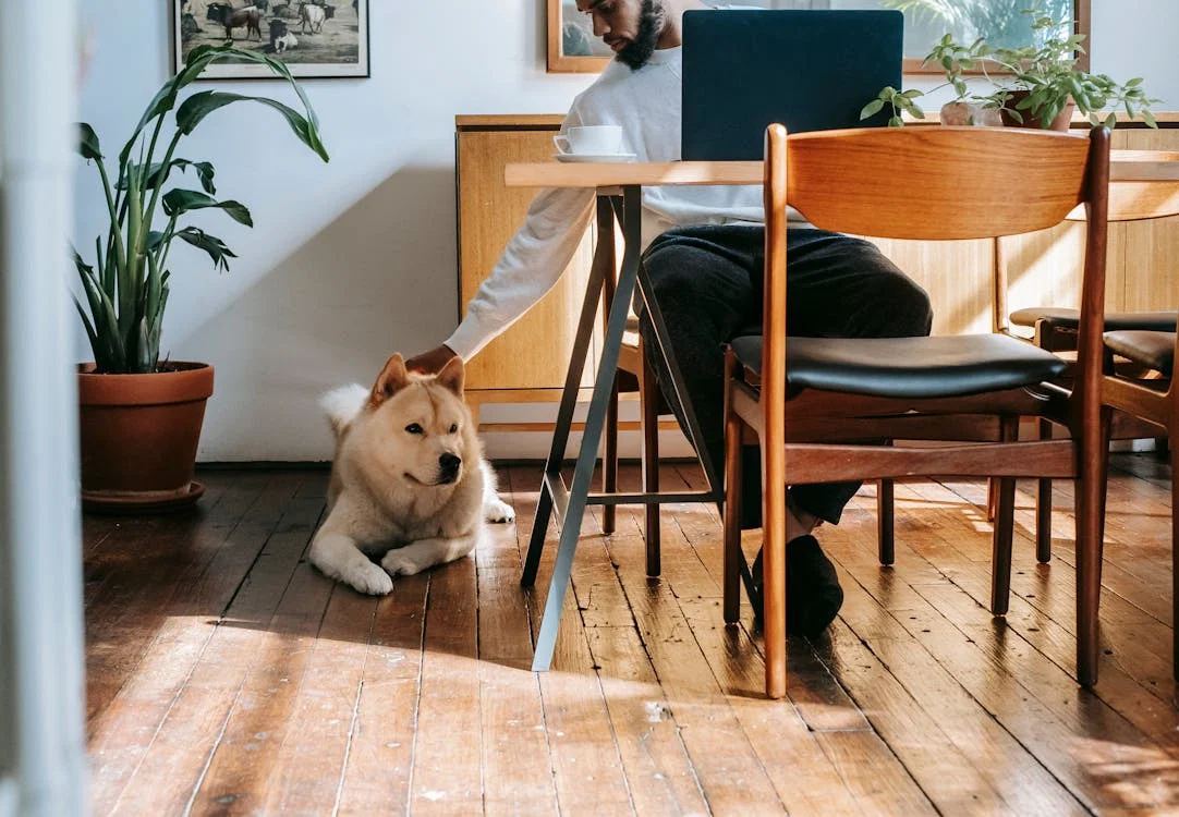 Resident working from home with his dog nearby